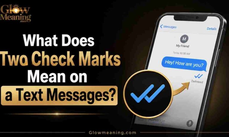 What Does Two Check Marks Mean on a Text Message