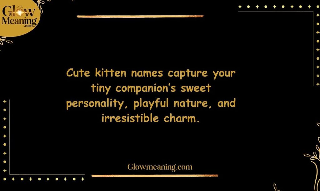 Cute Kitten Names