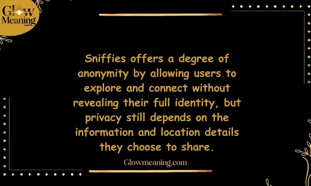 Is Sniffies Anonymous or Private