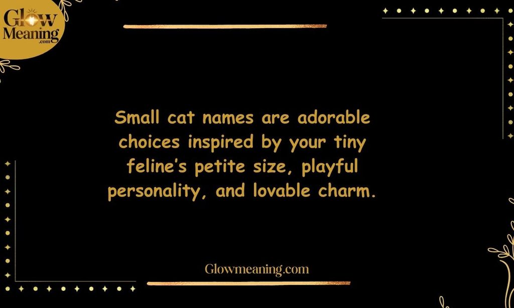 Small Cat Names