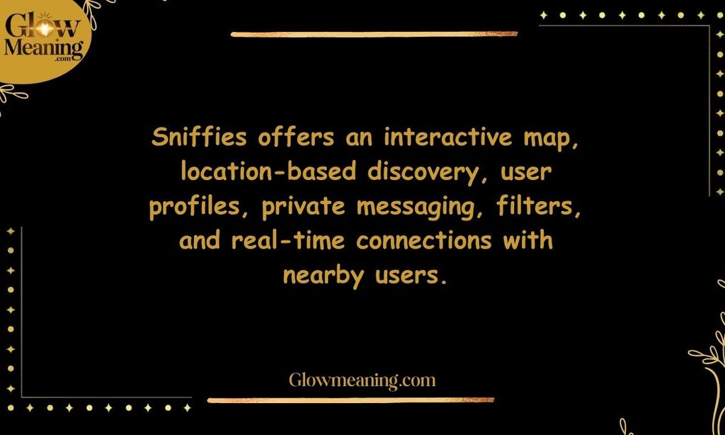 What Are the Main Features of Sniffies